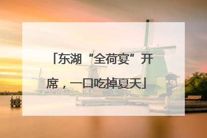 东湖“全荷宴”开席，一口吃掉夏天